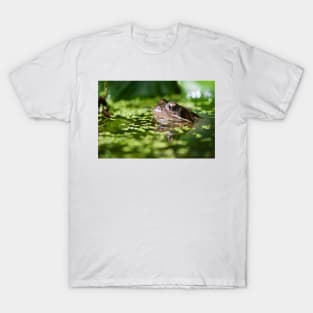 Common Frog in Pond T-Shirt